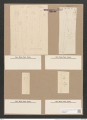 Pleurosigma nubecula W.Sm. (de-Toni-Nr.: Genus 13, Species 1006) Zeichnungen Sammlung Grunow Nr. 2046 (NHMW-BOT-W0368902)